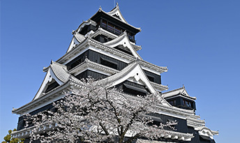 企業版ふるさと納税による寄付